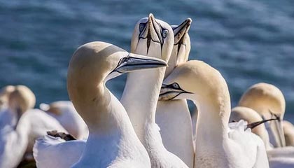 文山最新公积金卡提取现金方法app方法分析(最方便真实的文山公积金卡怎样从手机里取出来?方法)