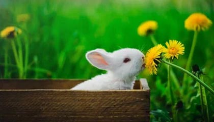 文山最新公积金卡提取现金方法app方法分析(最方便真实的文山公积金卡怎样从手机里取出来?方法)